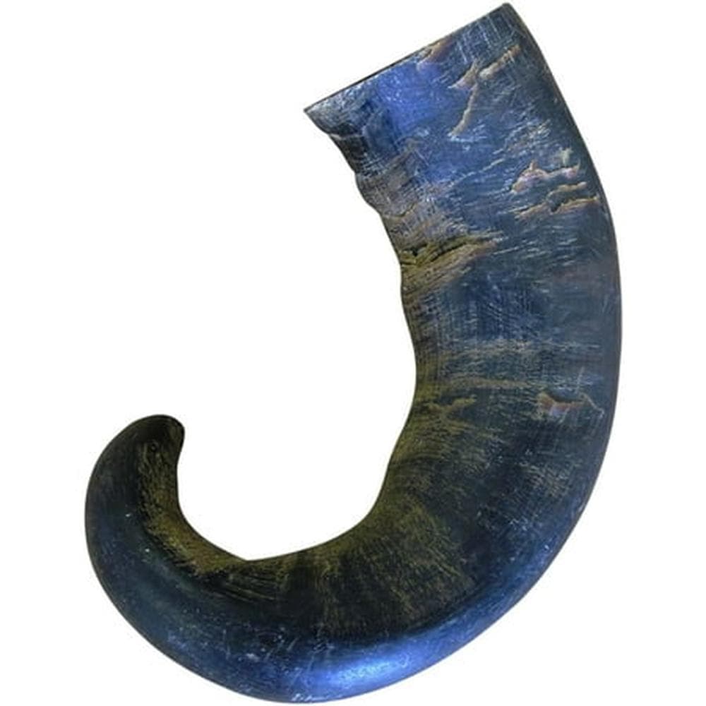 QT Water Buffalo Horn Medium - 1 Count