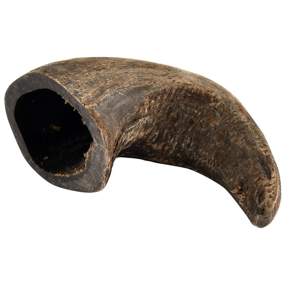 QT Water Buffalo Horn Large - 1 Count