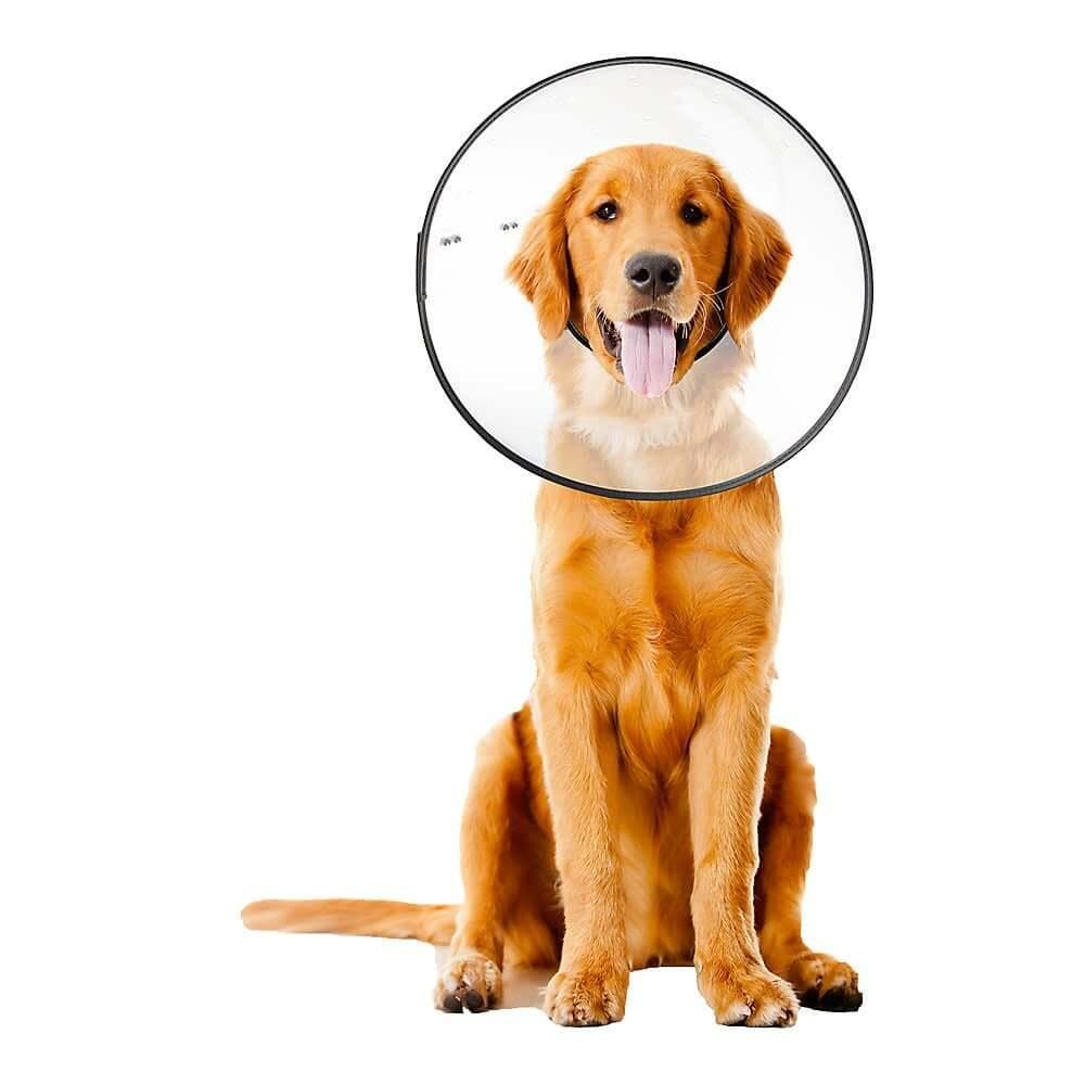 ZenPet Plastic E-Collar Large - 1 Count