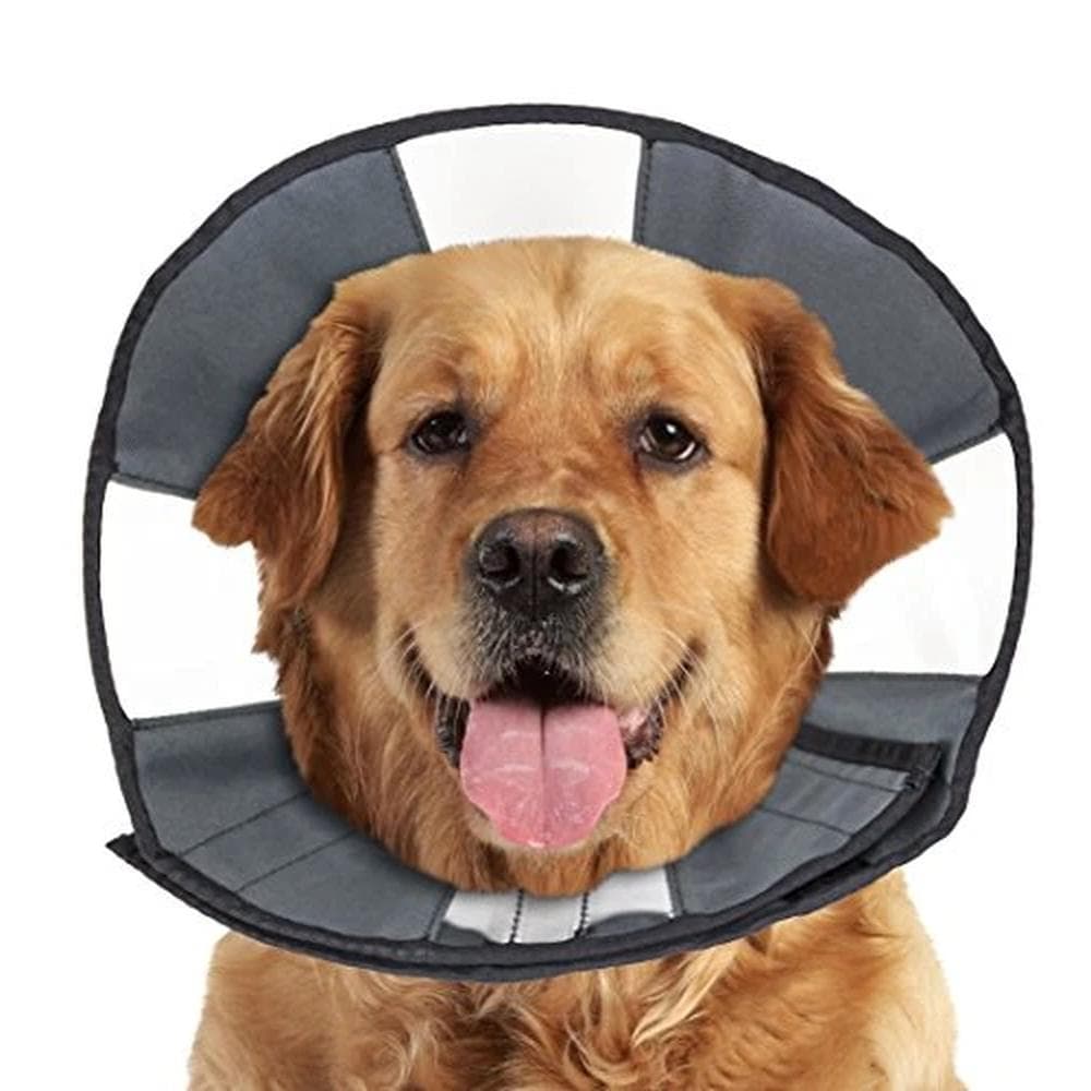 ZenPet ZenCone XL - 1 Count