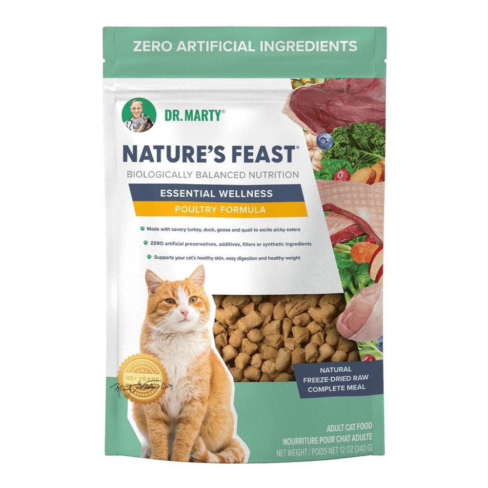 Dr. Marty Cat Food FD Nature's Feast - 12oz