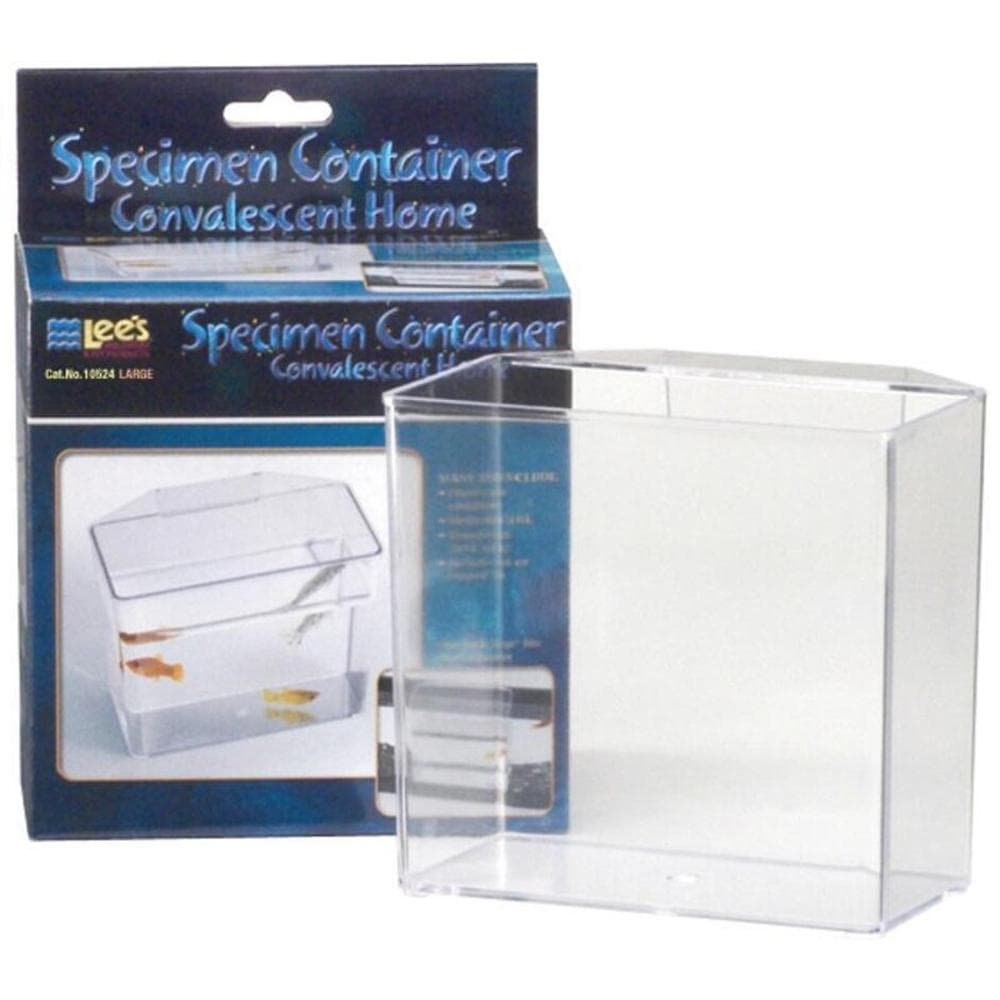 Lees Convalescent Home/Specimen Container Clear Large