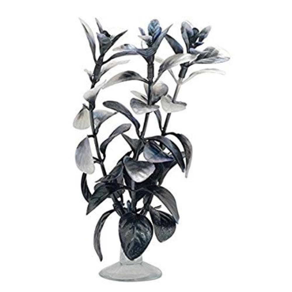 Marina Betta Kit Plant Ludwigia Black & White 1 Count