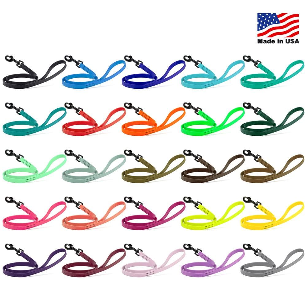 Dogline Biothane Waterproof Leash Length 4' X Width 3/4", Sea Foam Green - 1 Count