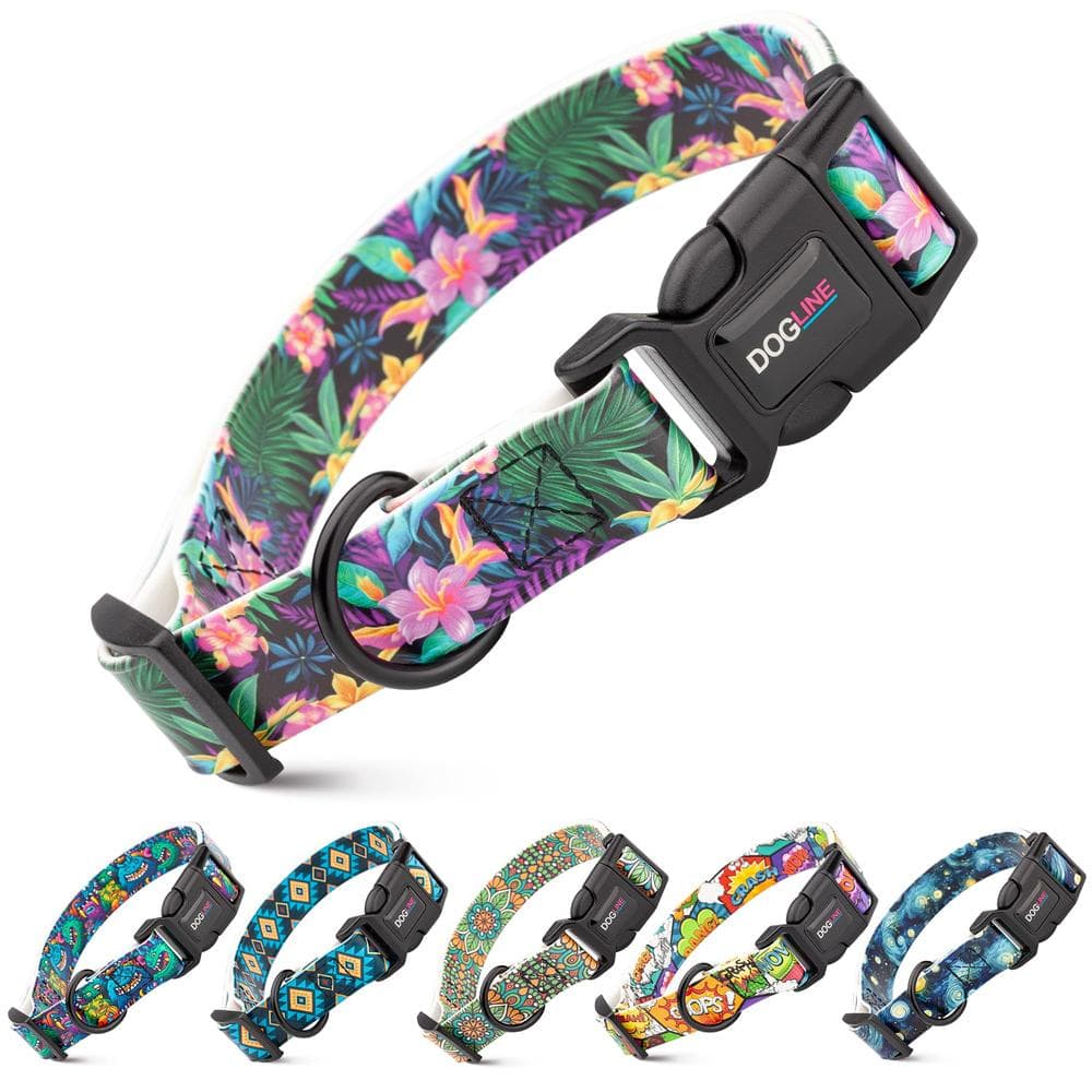 Dogline Biothane Printed Dog Collar with Quick Release Buckle 3/4"W By 12-19"L, Autumn Floral - 1 Count
