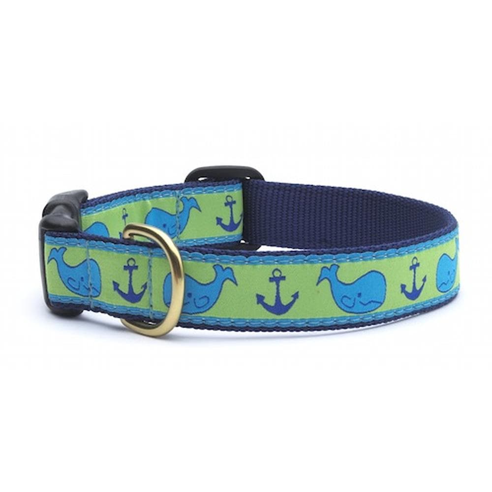 Whale Collar - Medium (W) - 1 Count
