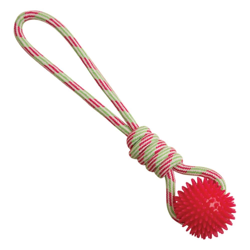 Snugarooz Spike-O-Mite Assorted Colors Dog Toy 16" 1 Count