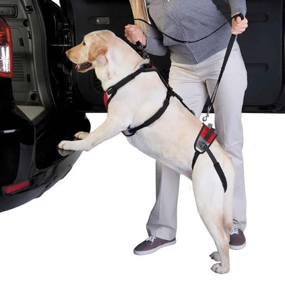 Total Pet Health™ Lift & Go Leads - Red Small - 1 Count