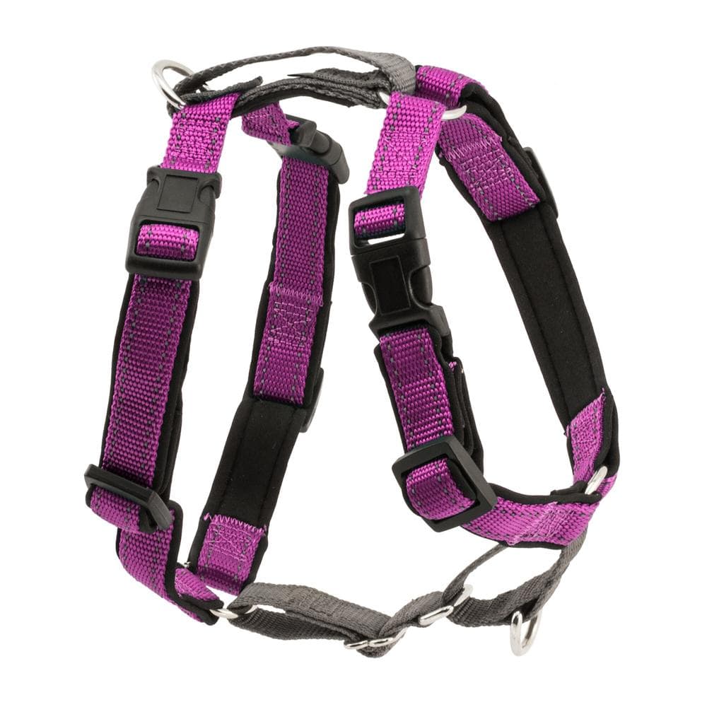 3 in 1 Harness Plum, Large - 1 Count