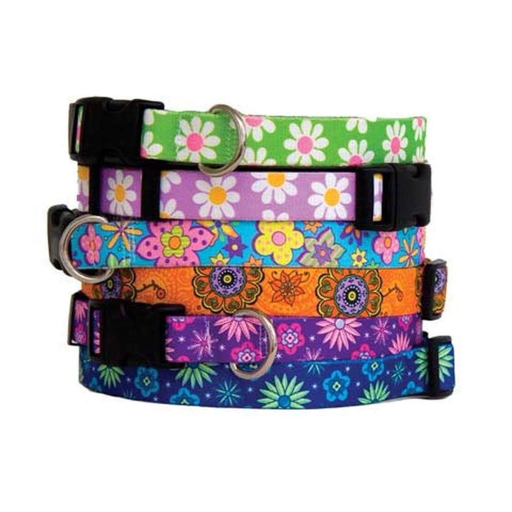 Hip Floral Fashions Collection X-Small Collar, Flower Power - 1 Count