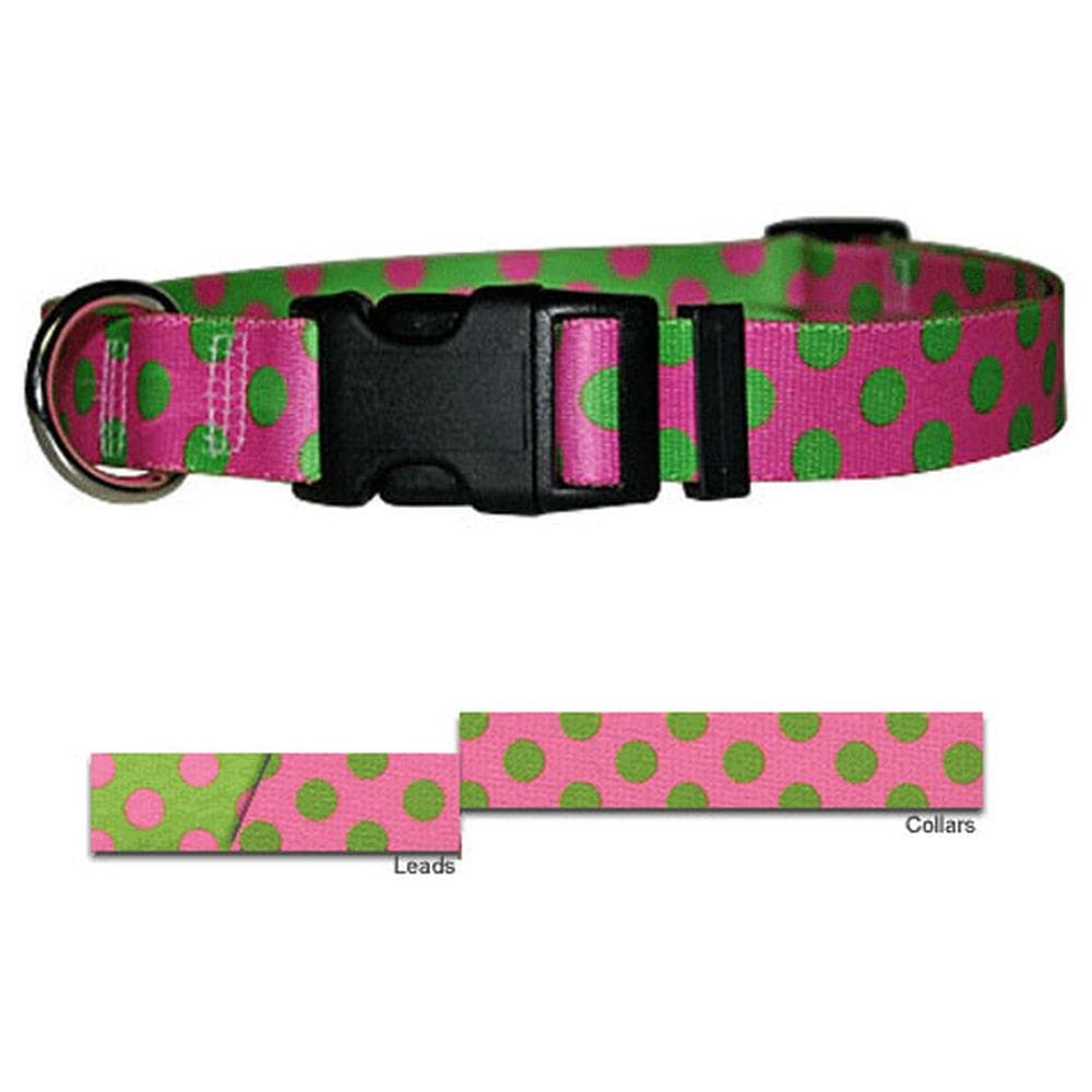 Pink-Green Polka Collection with Contrasting Lead X-Small Collar - 1 Count