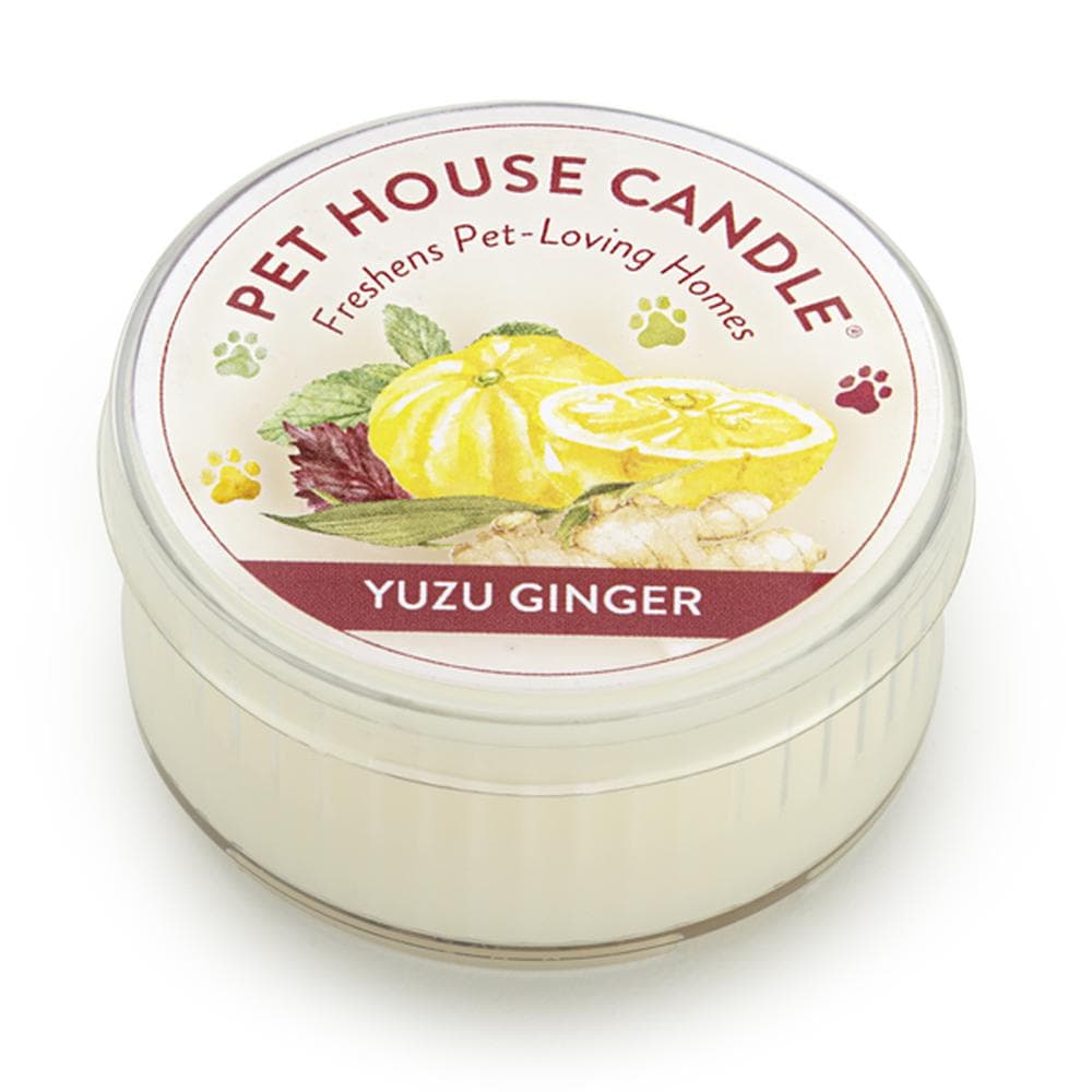 Pet House Mini Candle, 1.5oz Evergreen Forest - 6 Count