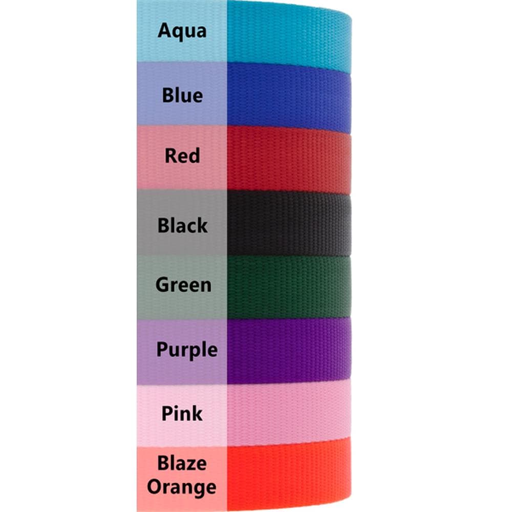 LupinePet 1" Basic Solids Collection 2-Ft Traffic Leash, Aqua - 1 Count