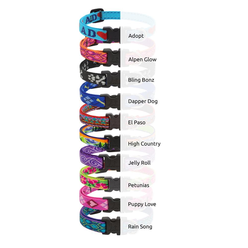 LupinePet 1/2" Originals Collection 8"-12" Cat Safety With Bell, Petunias - 1 Count