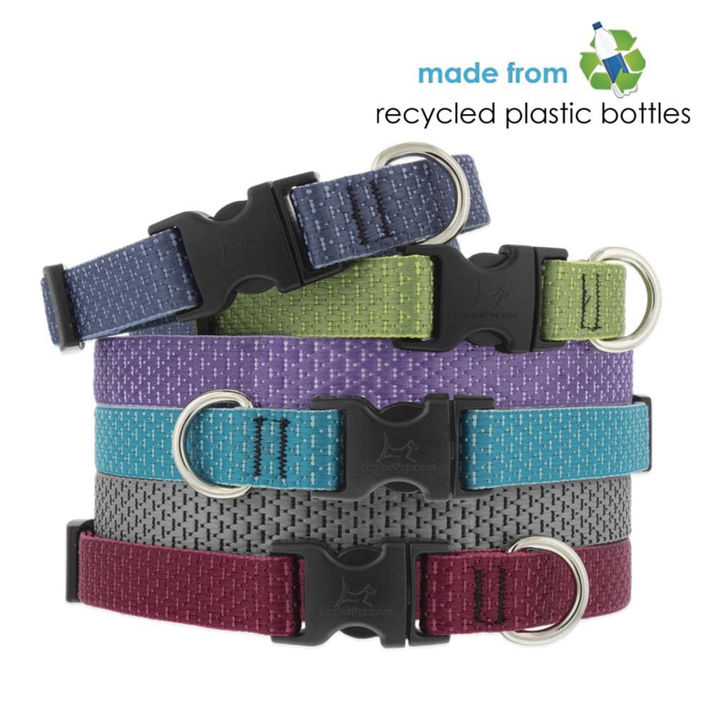 LupinePet 1" Eco Collection 12-20" Adjustable Dog Collar, Berry - 1 Count