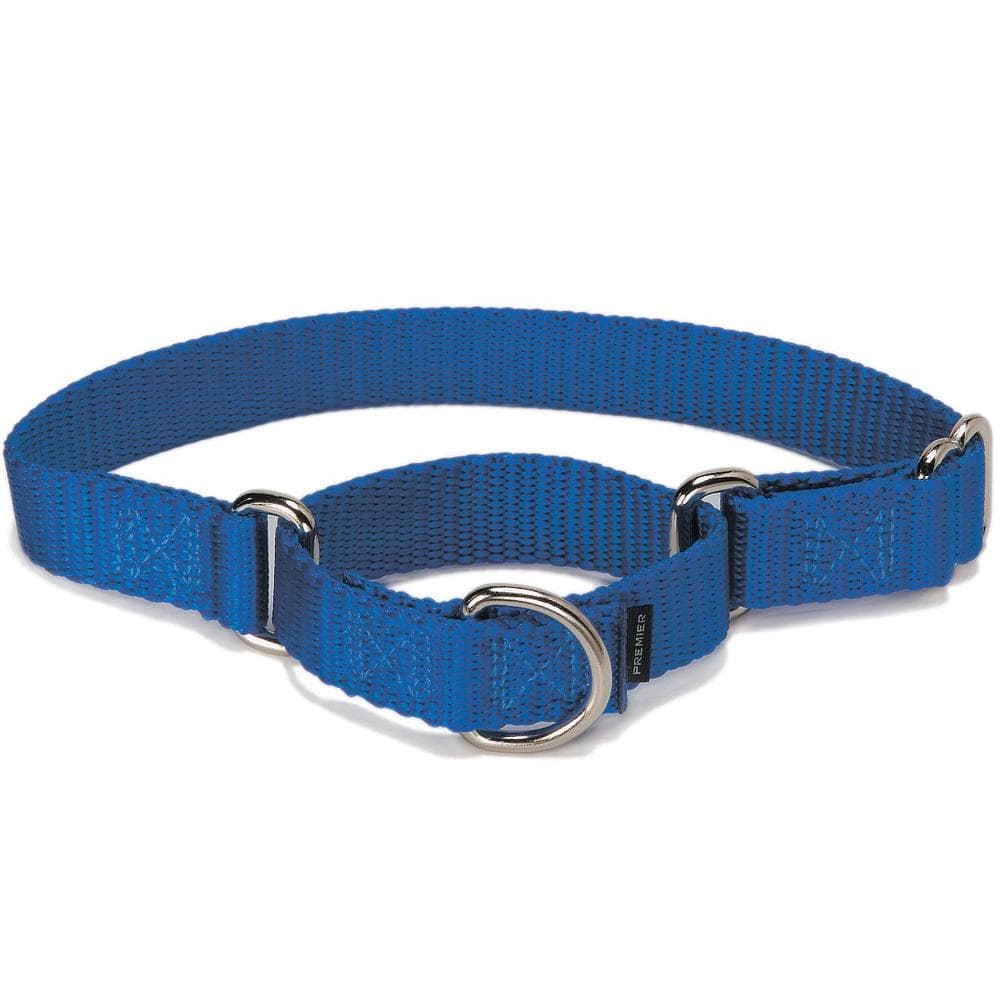 Martingale Collars by PetSafe Deep Purple, Medium 3/4" Wide - 1 Count