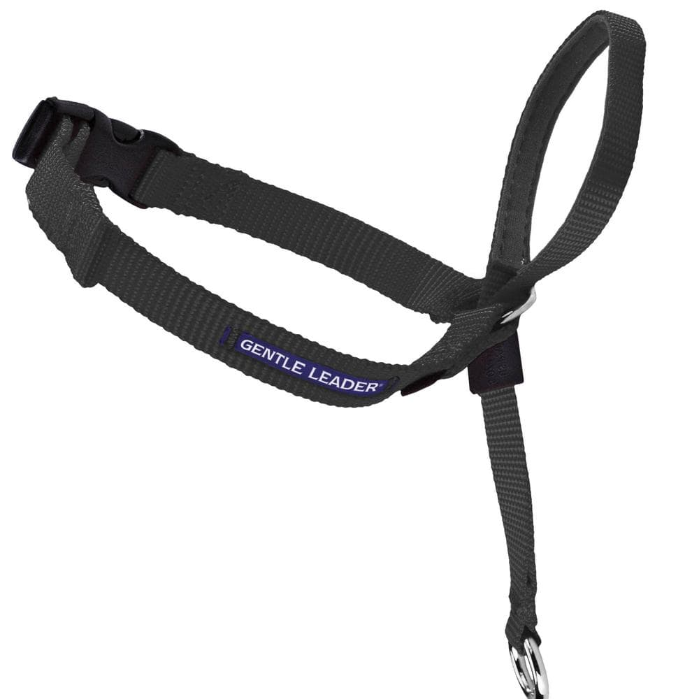 Gentle Leader Headcollar, No-Pull Dog Collar Black, Petite - 1 Count