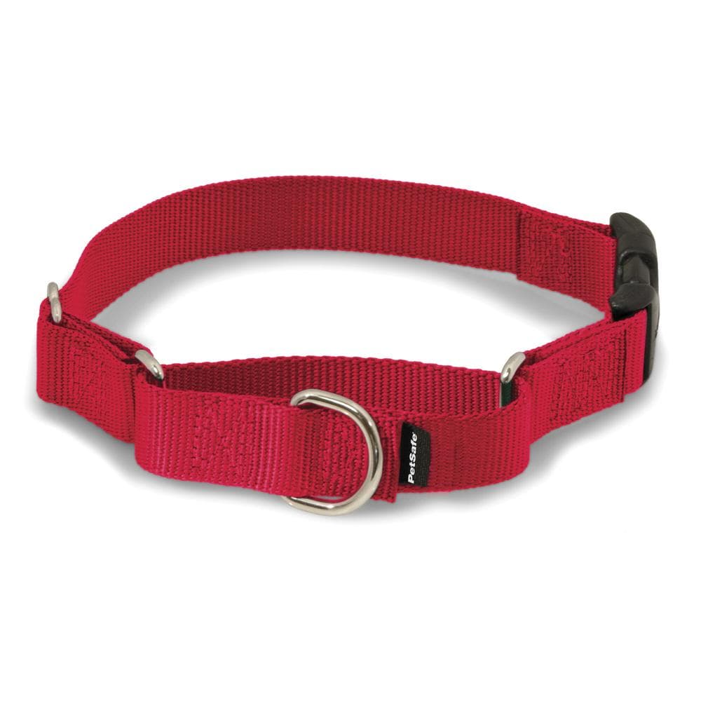 Martingale Collar with Quick Snap Buckle Black, Medium 1" Wide - 1 Count