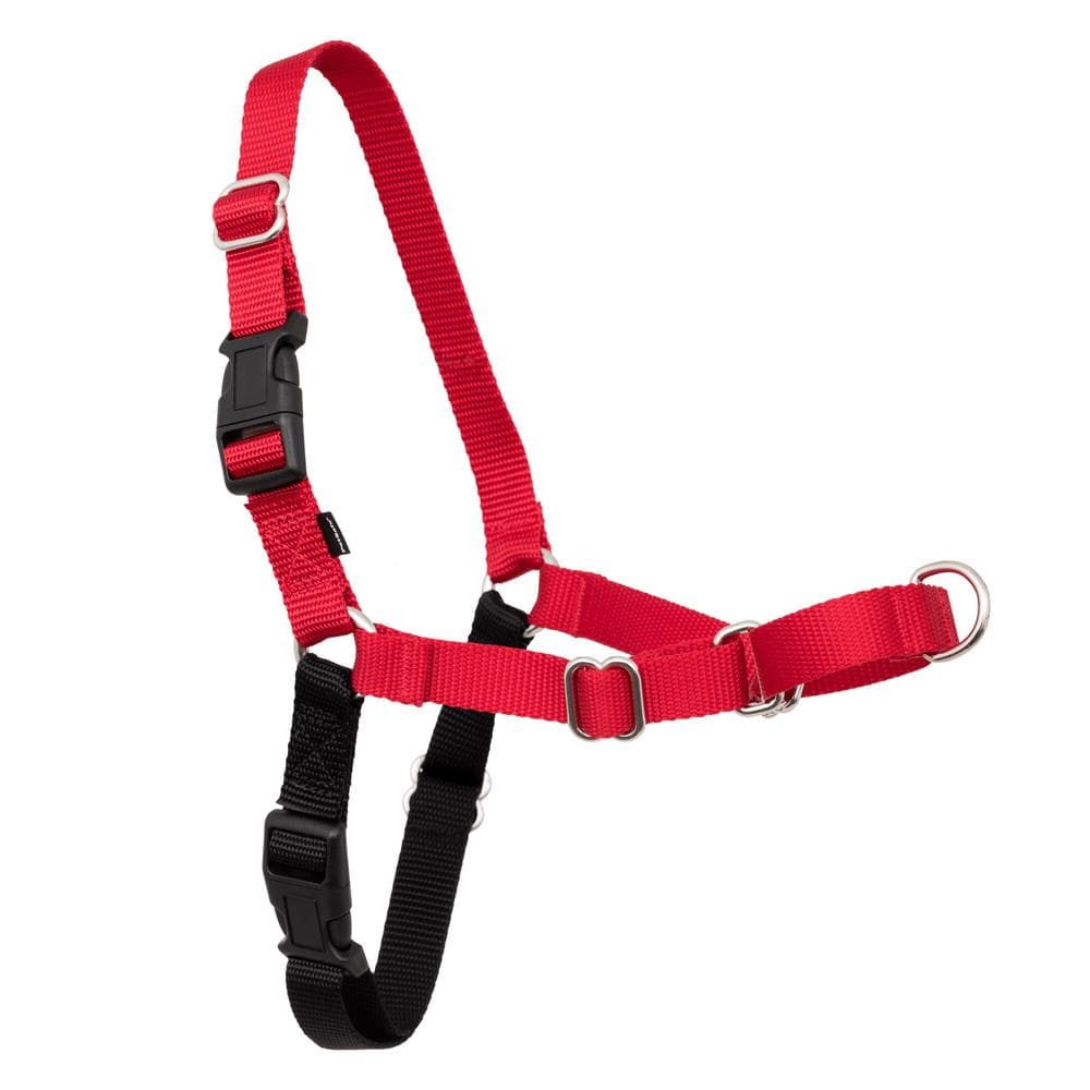 Easy Walk Harness, No Pull Dog Harness in Clamshell Petite/Small, Black/Silver - 1 Count