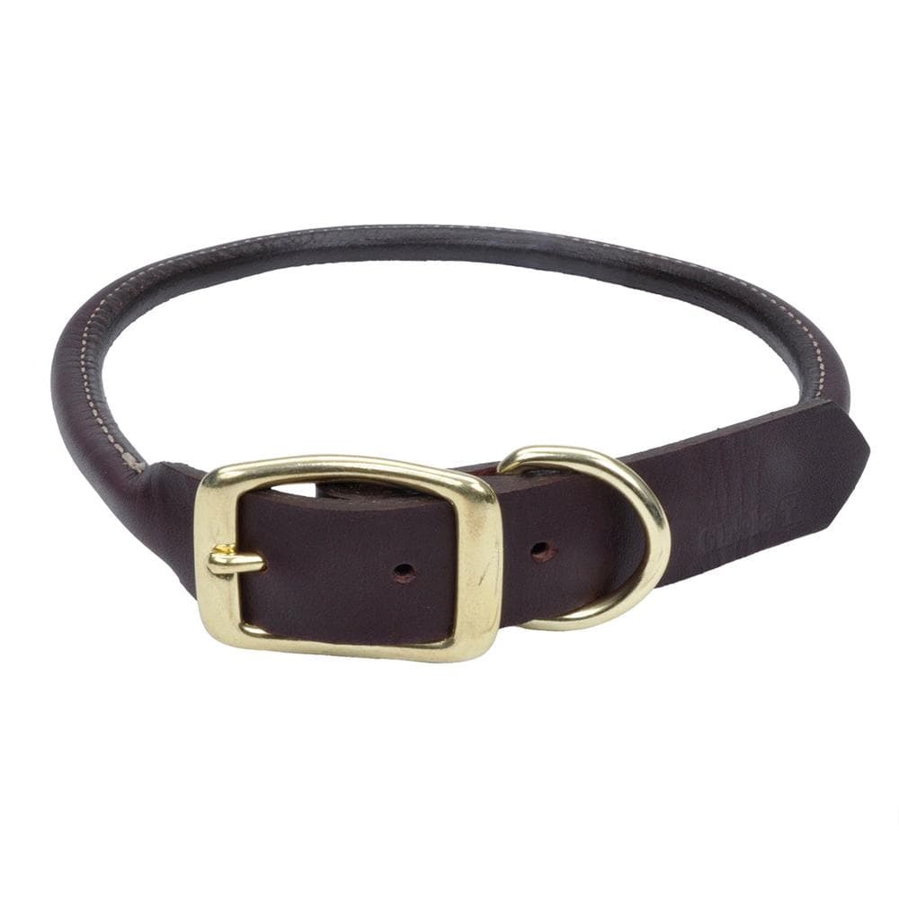 Circle T Latigo Leather Round Dog Collar with Solid Brass Hardware 1" W X 24" - 1 Count