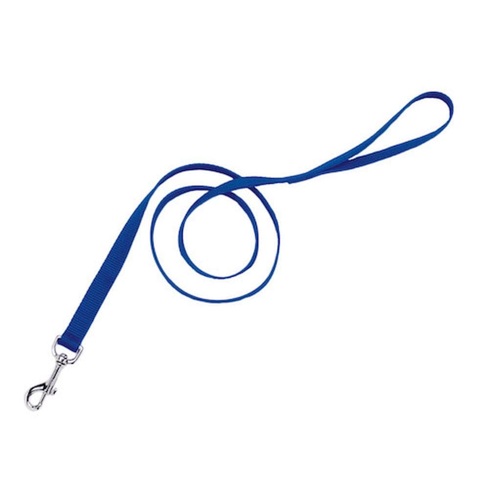 Coastal Nylon Leash Lime, 5/8" X 6' - 1 Count