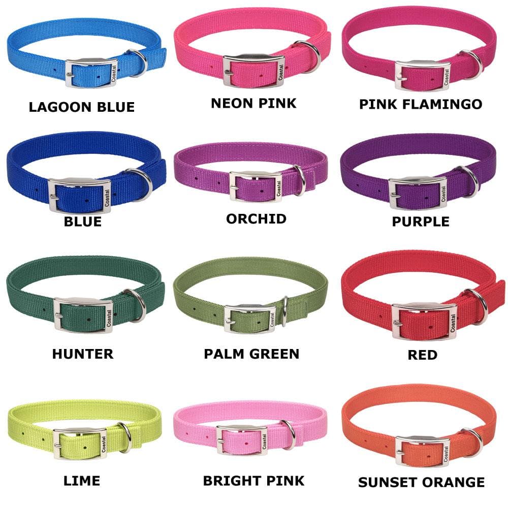Flat Buckle Double Ply Nylon Collars & Leads 1" X 19"-22" Collar, Red - 1 Count
