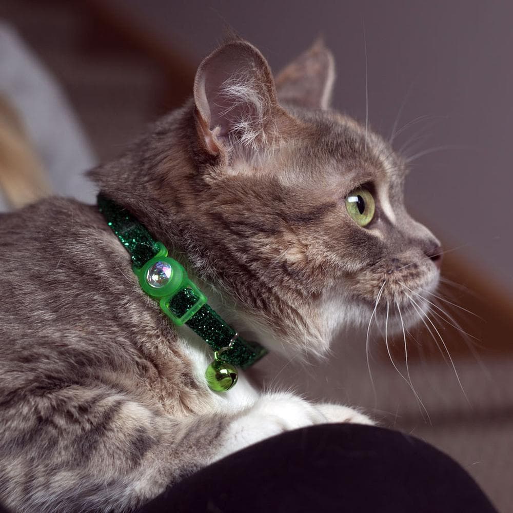 Safe Cat Jeweled Buckle Adjustable Breakaway Collar with Glitter Overlay Blue Lagoon - 1 Count