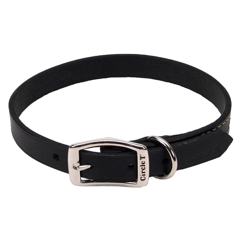 Circle T Oak Tanned Leather Town Dog Collar Tan, 1" W X 22" - 1 Count
