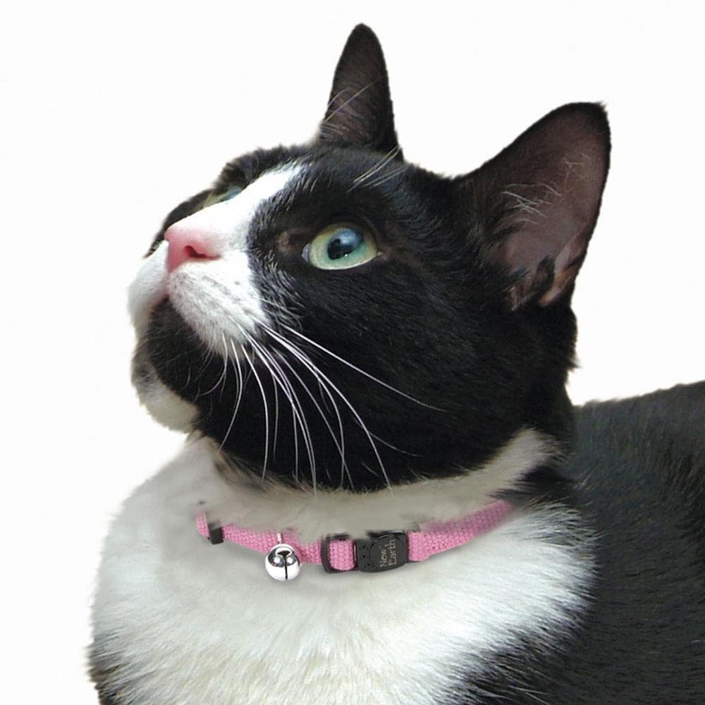 Coastal Soy Adjustable Breakaway Cat Collar Rose - 1 Count