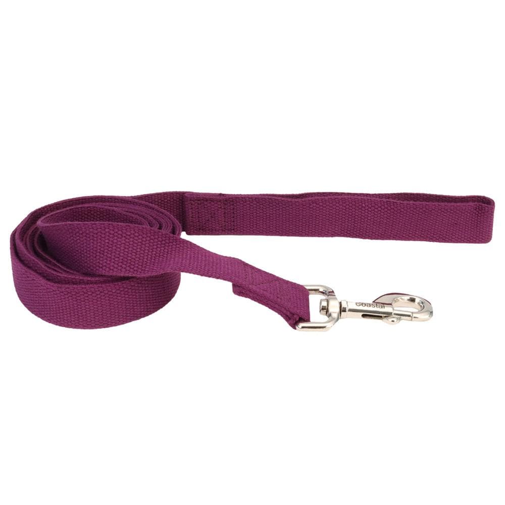 New Earth Soy Dog Leash Pumpkin, 1" X 06' - 1 Count