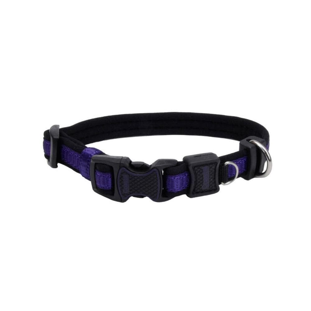 Coastal Pet Inspire Adjustable Dog Collar - Inspire Purple, 1X14 20 1 Unit
