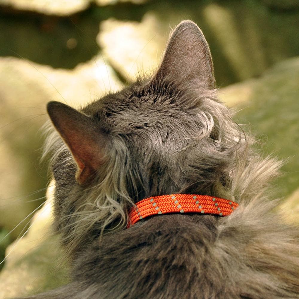 ElastaCat Reflective Safety Stretch Collar with Reflective Charm Black - 1 Count