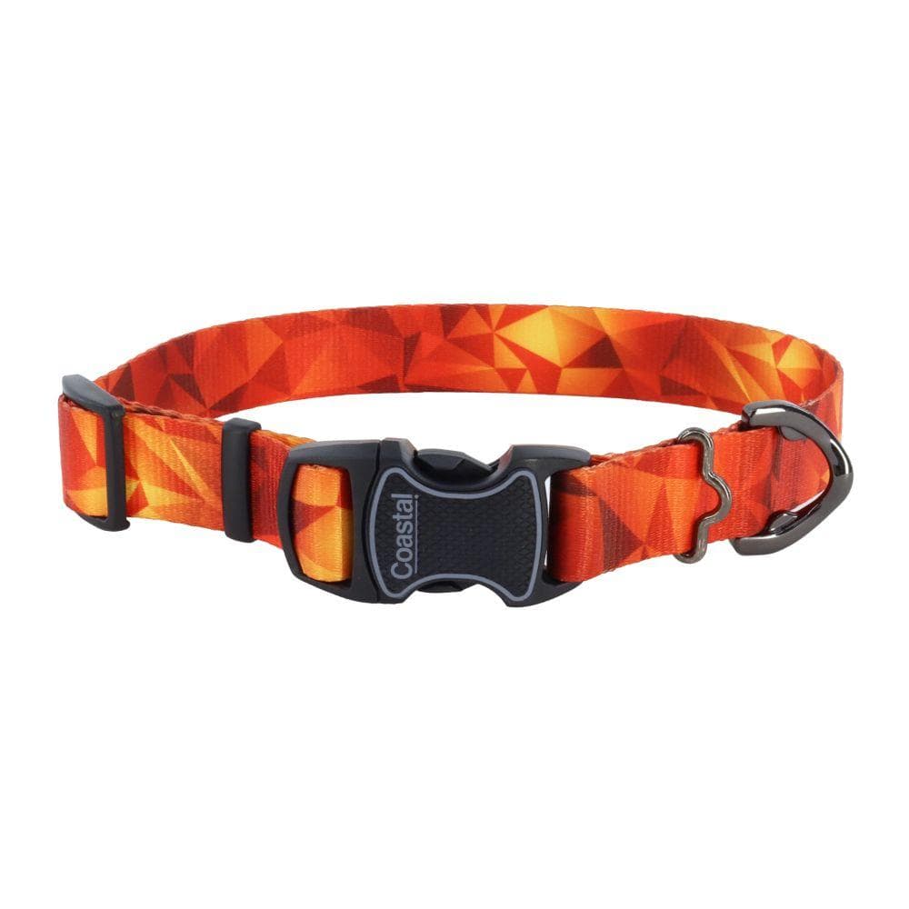 Inspire Adjustable Fashion Dog Collars & Leashes 1" X 6' Leash, Digital Matrix - 1 Count
