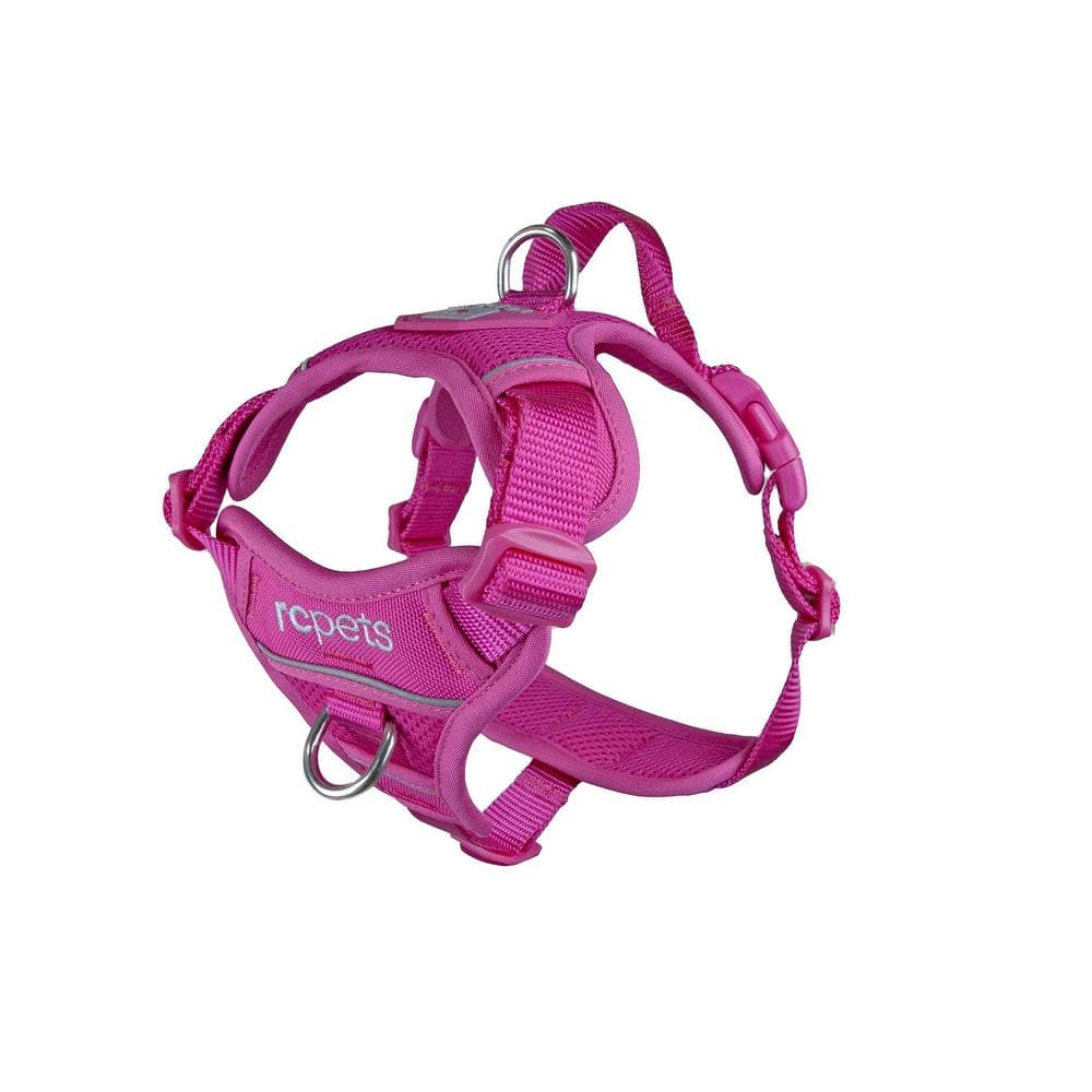 Momentum Control Harness - Fuchsia Medium - 1 Count