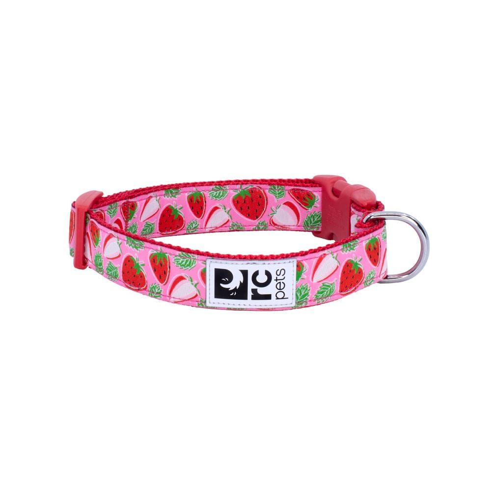 Collars & Leads - Strawberries Clip Collar M - 1" - 1 Count