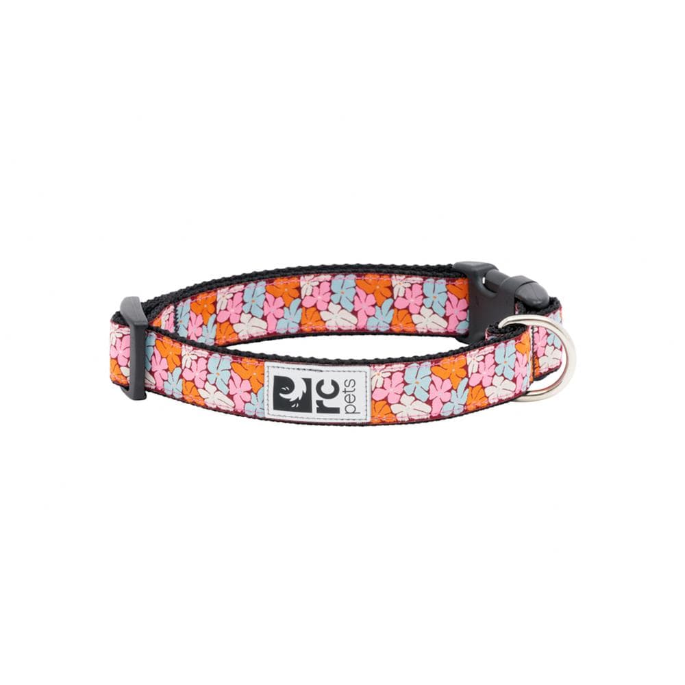 Collars & Leads - Boho Clip Collar S - 3/4" - 1 Count