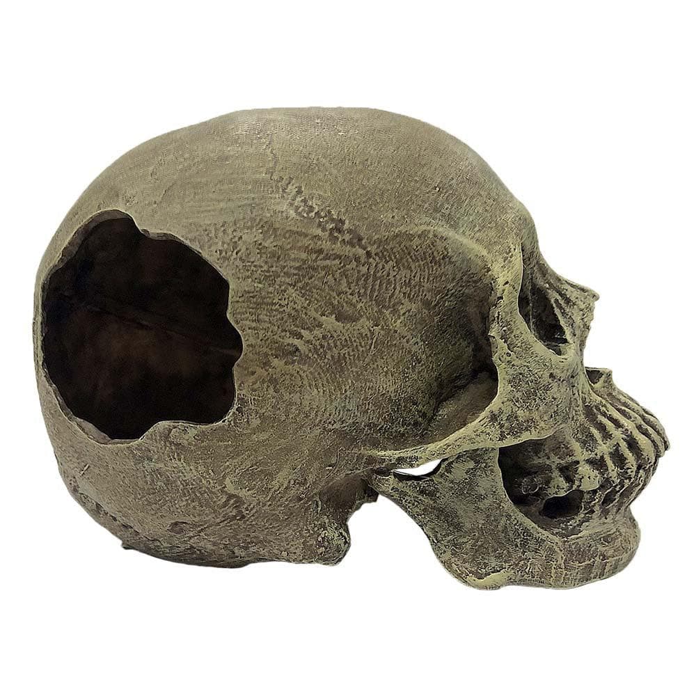Komodo Full Human Skull Reptile Hideout Grey 1 Count