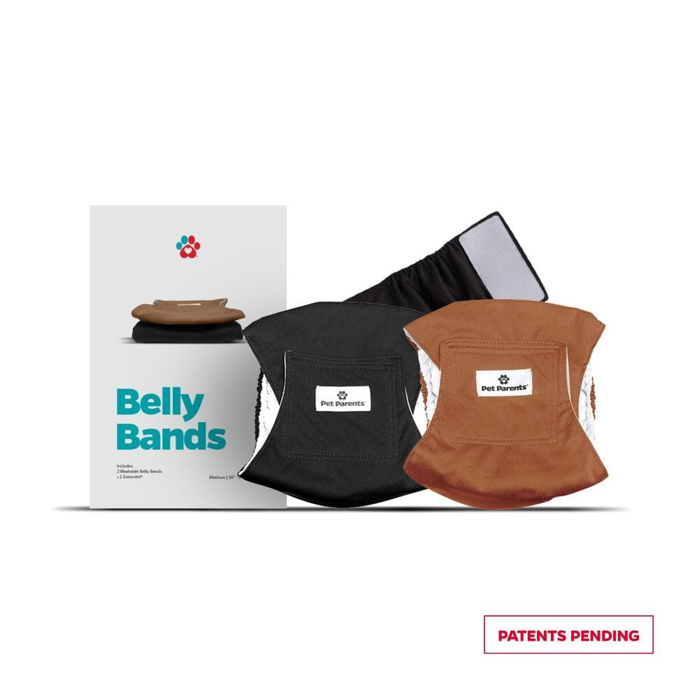 Pet Parents Belly Bands (2 Pack) + Extendrs (Natural) M - 1 Count