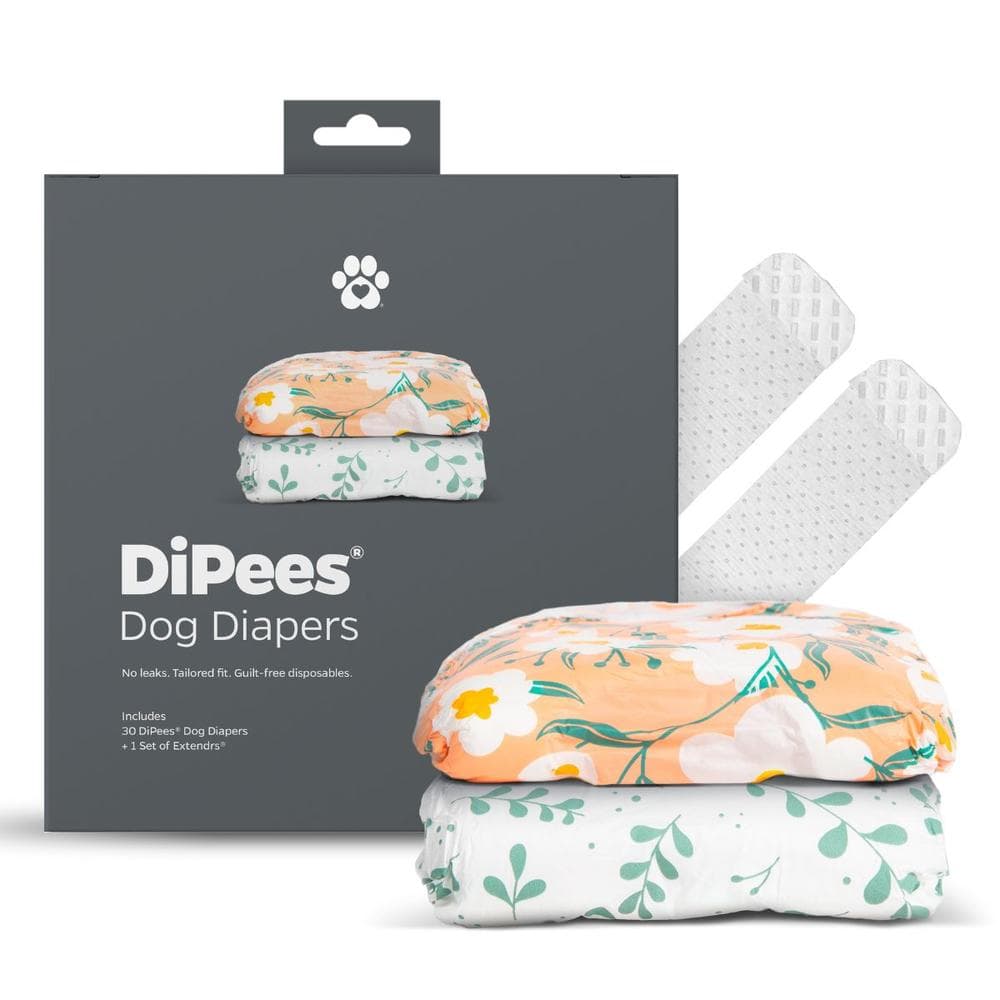 DiPees™ + Odor Control Disposable Dog Diapers Small / 30 Pack - 1 Count