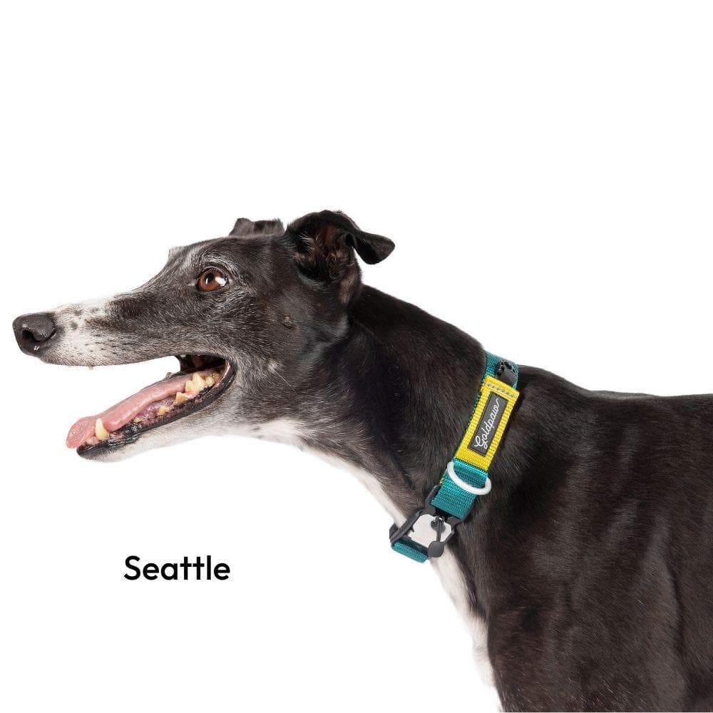 Featherweight SwiftLock Collar Small (3/4"), Palm Springs - 1 Count