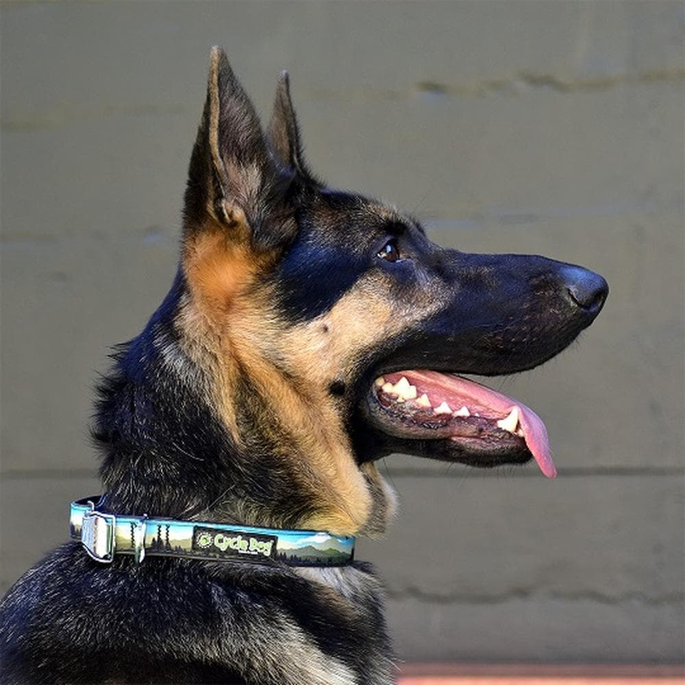 Elk Ridge Collection Metal, Large Collar - 1 Count