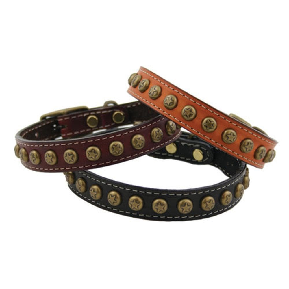 Heirloom Star Collars 3/4” X 14” Long, Black - 1 Count