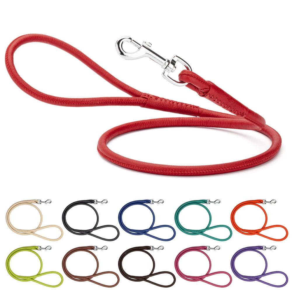 Dogline Soft Leather Round Lead Length 6' X Width 1/4", Orange - 1 Count