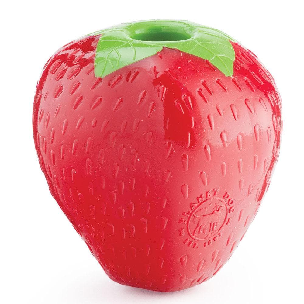 Outward Hound Orbee-Tuff Strawberry Dog Toys Red Color 3" 1 Count
