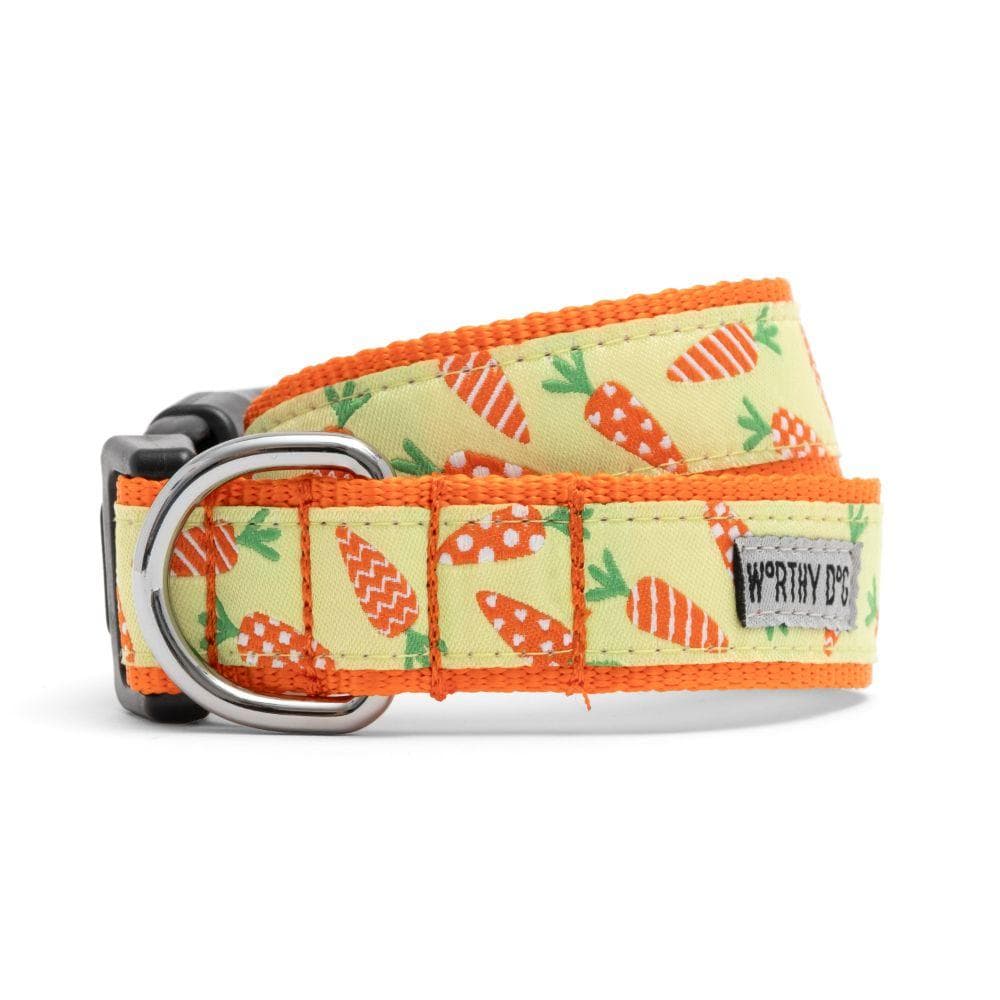 Crazy Carrots Collar Small Lead - 1 Count