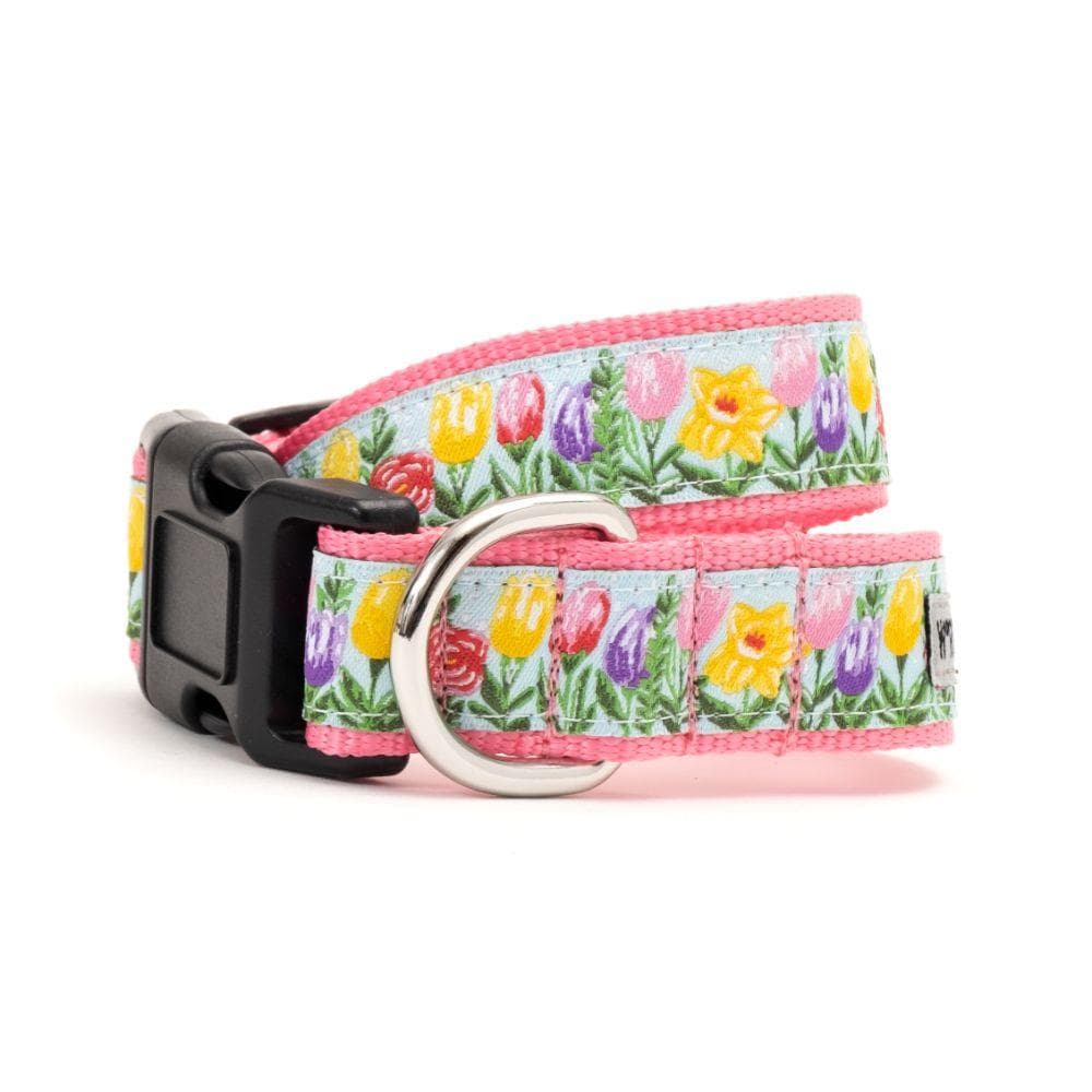 Blue Hello Spring Collar & Lead Collection Small - 1 Count
