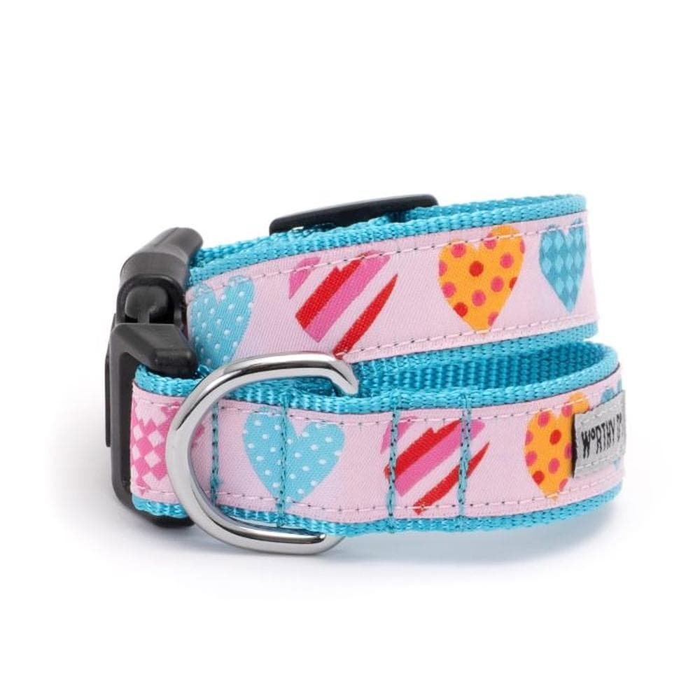 Love is Love Dog Collar & Lead S - 1 Count