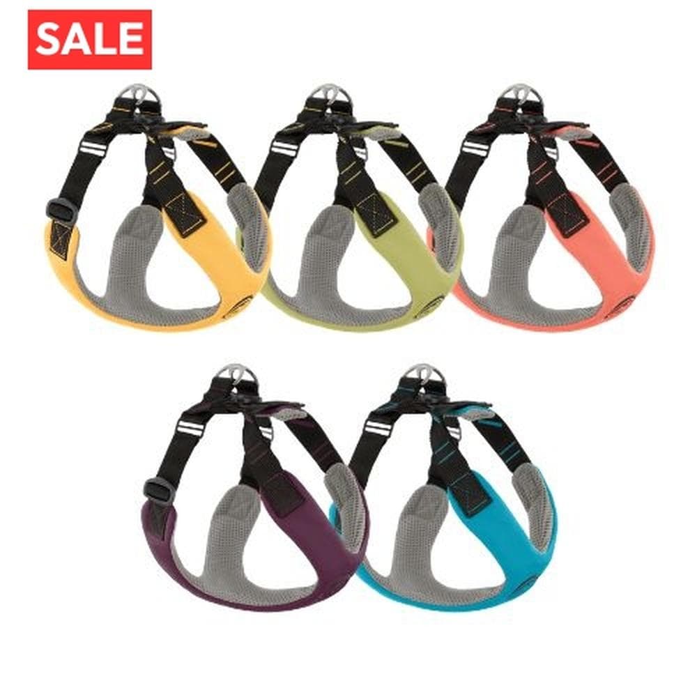 Convertible Z Harness Pink, Large - 1 Count