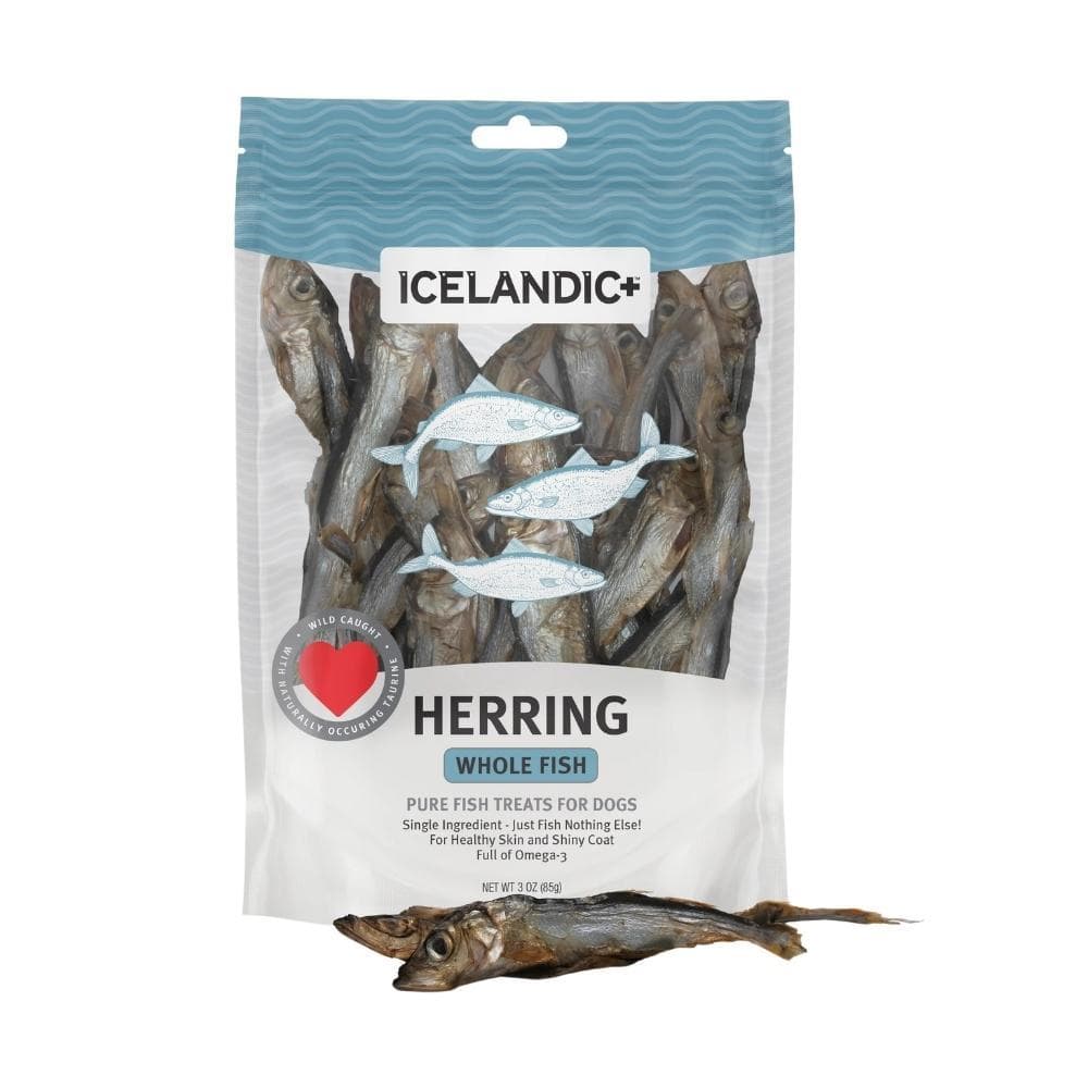 Icelandic Dog Herring Fish Whole 3oz