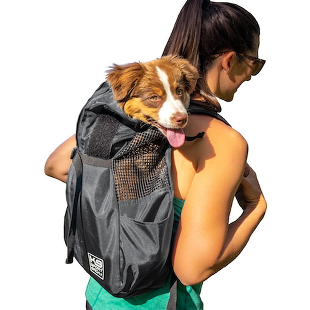 K9 SPORT SACK-TRAINER-IRON GATE(Dark Grey) K9 SPORT SACK-TRAINER-IRON GATE Small - 1 Count